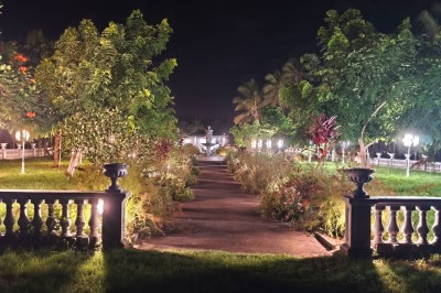 Allée extérieure éclairée la nuit, bordée de végétation et d'un bâtiment blanc avec des marquages au sol.