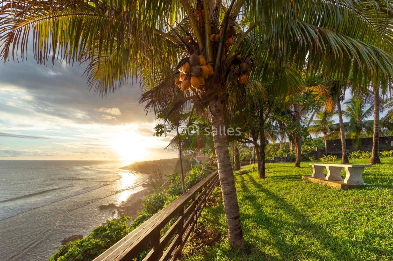 Vue d'un coucher de soleil sur une plage bordée de palmiers, avec un banc en pierre sur une pelouse verdoyante.