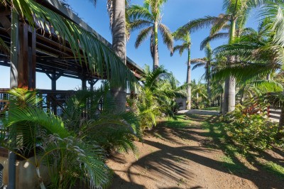 Allée extérieure éclairée la nuit, bordée de végétation et d'un bâtiment blanc avec des marquages au sol.