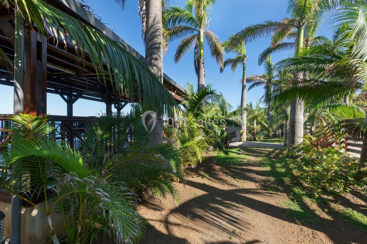 Allée bordée de palmiers et de végétation tropicale, longeant une structure en bois ouverte sous un ciel bleu.