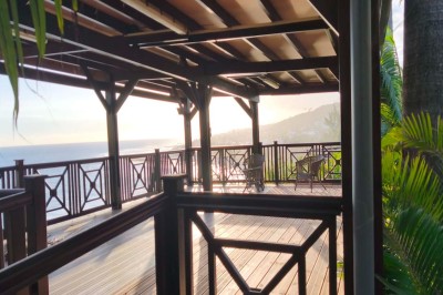 Allée extérieure éclairée la nuit, bordée de végétation et d'un bâtiment blanc avec des marquages au sol.