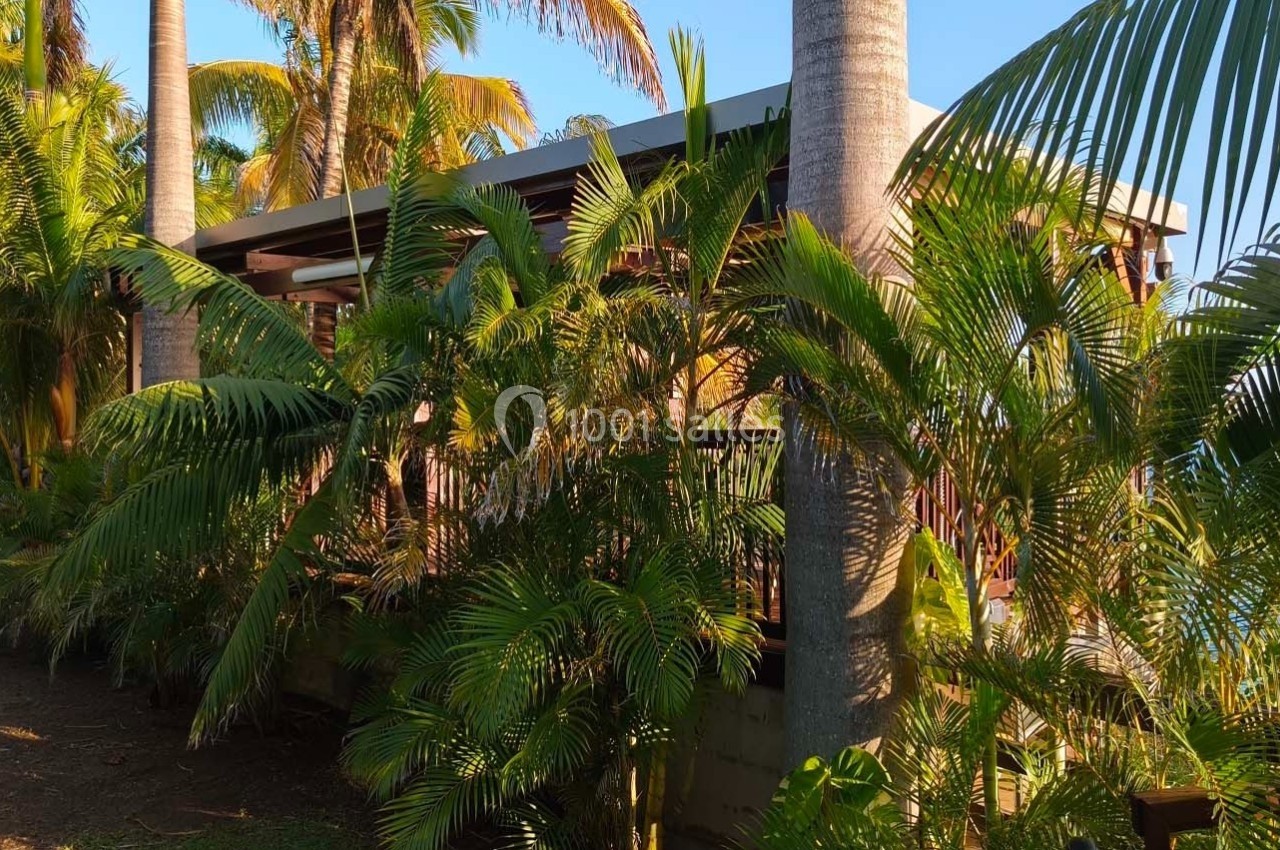 Vue d'une terrasse en bois entourée de palmiers et de végétation tropicale sous un ciel ensoleillé.