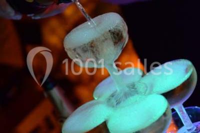 Location salle Varennes-Jarcy (Essonne) - Les Demeures de Varennes - BW Signature Collection #24