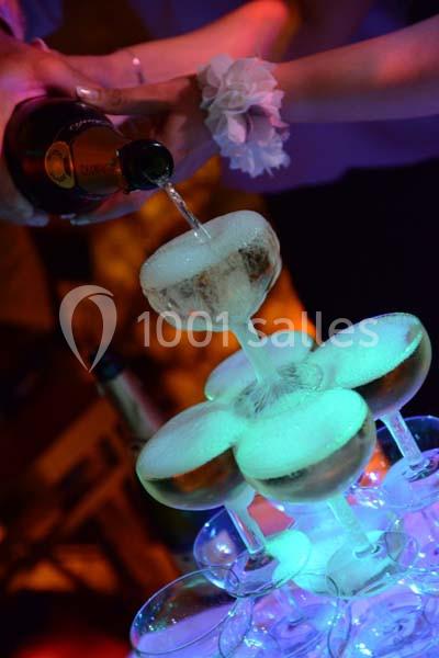 Location salle Varennes-Jarcy (Essonne) - Les Demeures de Varennes - BW Signature Collection #17