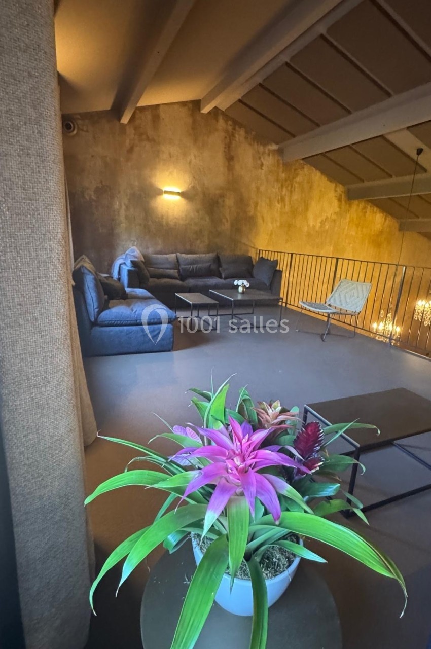 Plante tropicale en pot au premier plan, avec un salon moderne en mezzanine éclairé en arrière-plan.