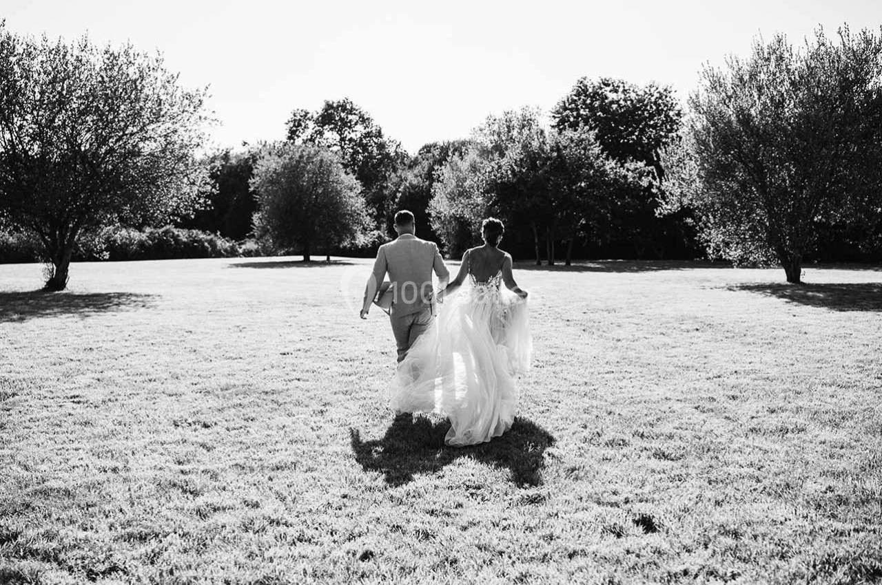 Un couple en tenue de mariage marche main dans la main dans un grand champ ensoleillé bordé d'arbres.