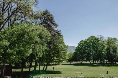 Façade d'un bâtiment commercial avec enseigne ’Comera Cuisines’ et affiches publicitaires, entouré de végétation.