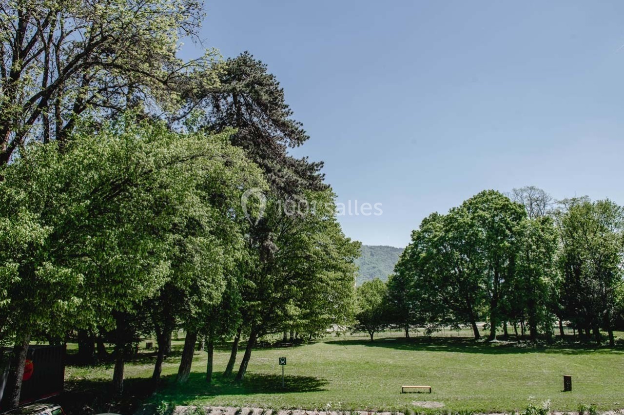 Un parc verdoyant avec des arbres feuillus, une pelouse dégagée et un ciel bleu clair en arrière-plan.