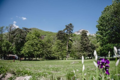 Façade d'un bâtiment commercial avec enseigne ’Comera Cuisines’ et affiches publicitaires, entouré de végétation.