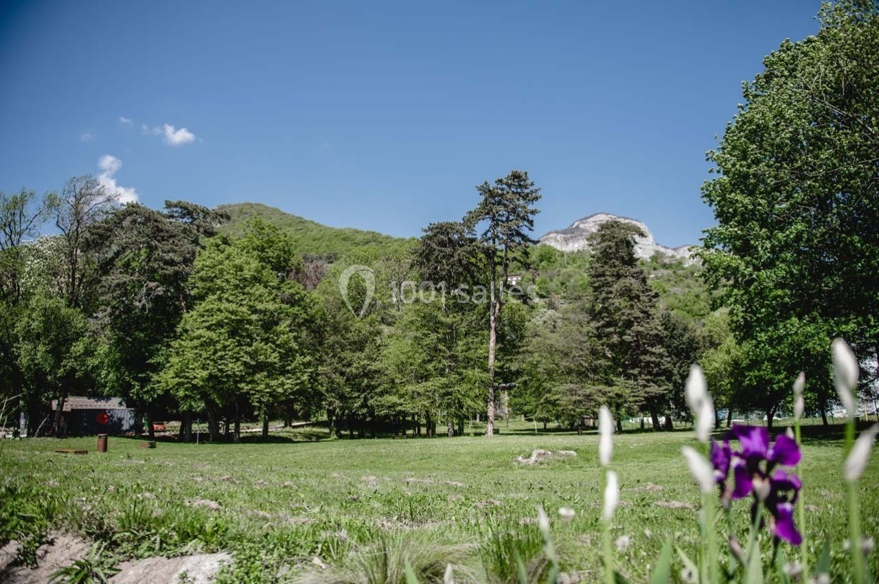 Paysage de montagne avec une prairie verdoyante, des arbres, des fleurs au premier plan et un ciel bleu dégagé.
