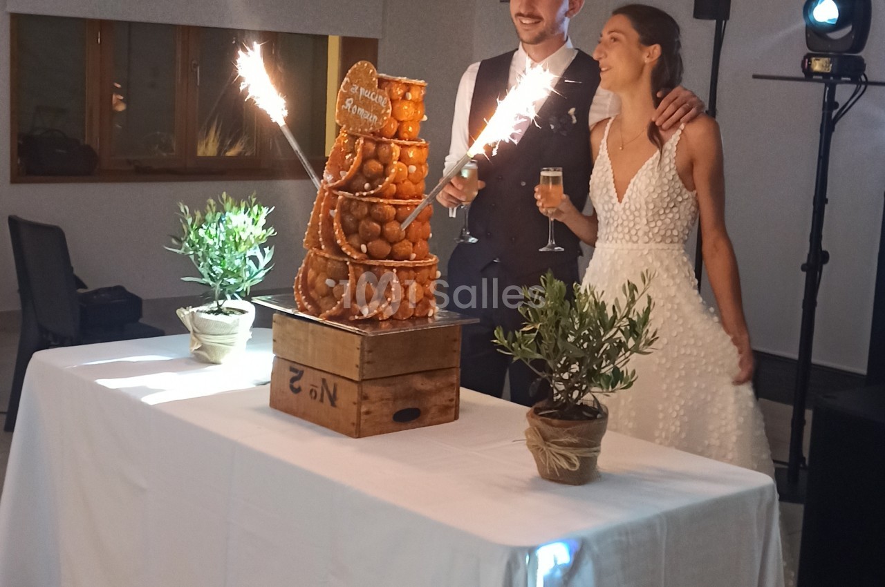 Couple tenant des cierges allumés devant un gâteau à choux, fleurs en pots sur table blanche.