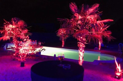 Piscine éclairée de nuit avec des lumières rouges et violettes, entourée de palmiers et d'une table avec un verre.