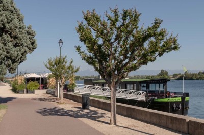 Miniature Location salle Tain-l'Hermitage (Drôme) - La Péniche #33 Terrasse en bois avec tables et chaises pliantes roses sous de grands parasols, entourée de plantes vertes.