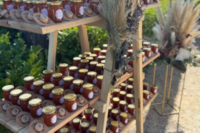 Chaises blanches alignées en extérieur face à une arche décorée, avec vue sur un paysage vallonné et des arbres.