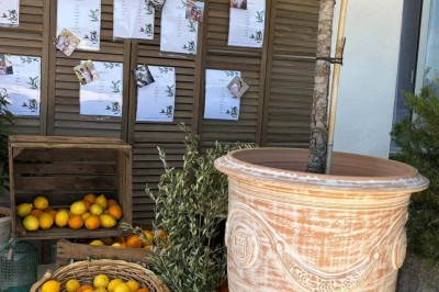 Chaises blanches alignées en extérieur face à une arche décorée, avec vue sur un paysage vallonné et des arbres.