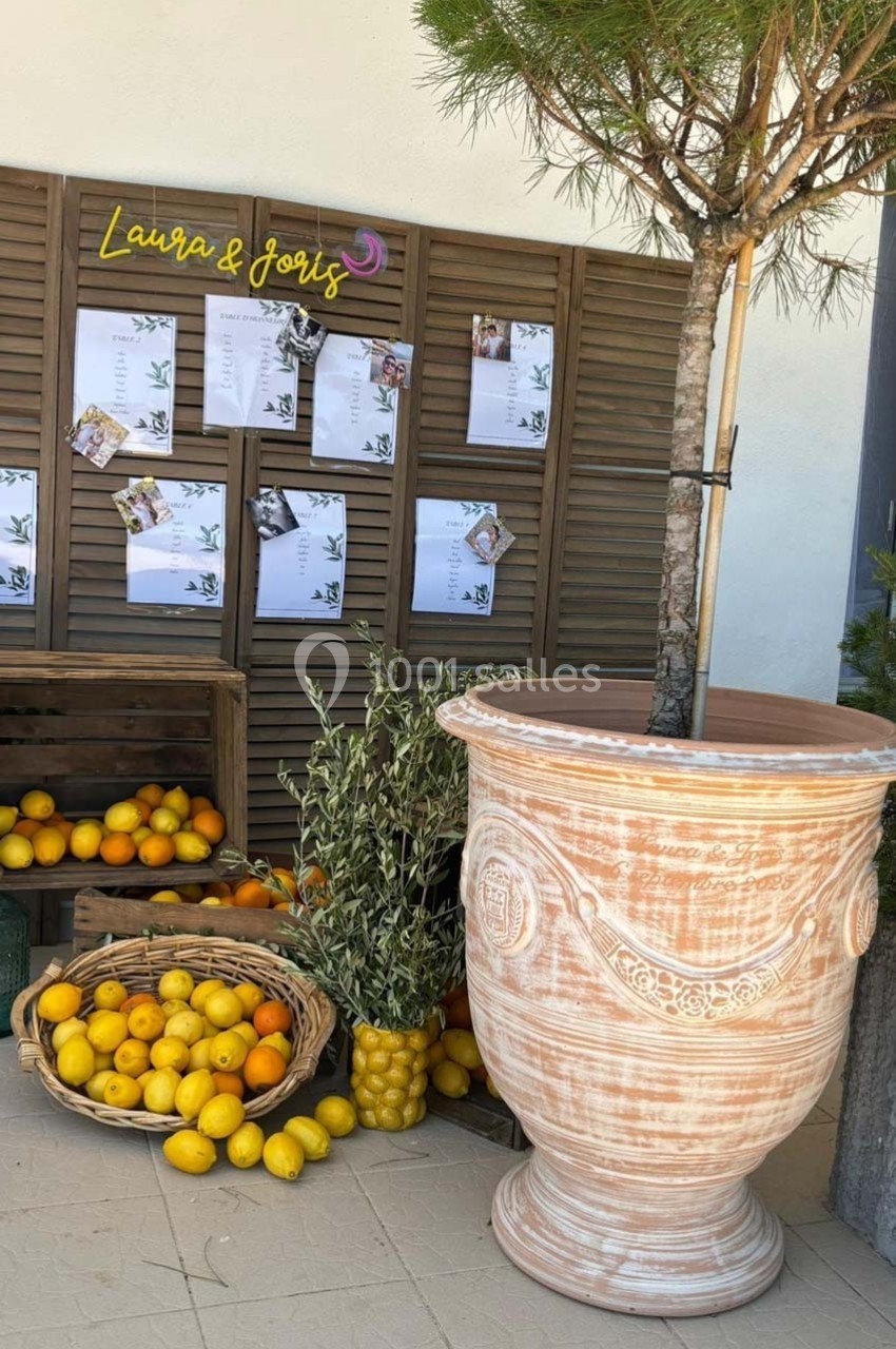 Mur décoratif en bois avec des affiches, paniers de citrons et oranges, grand pot en terre cuite et petit arbre.