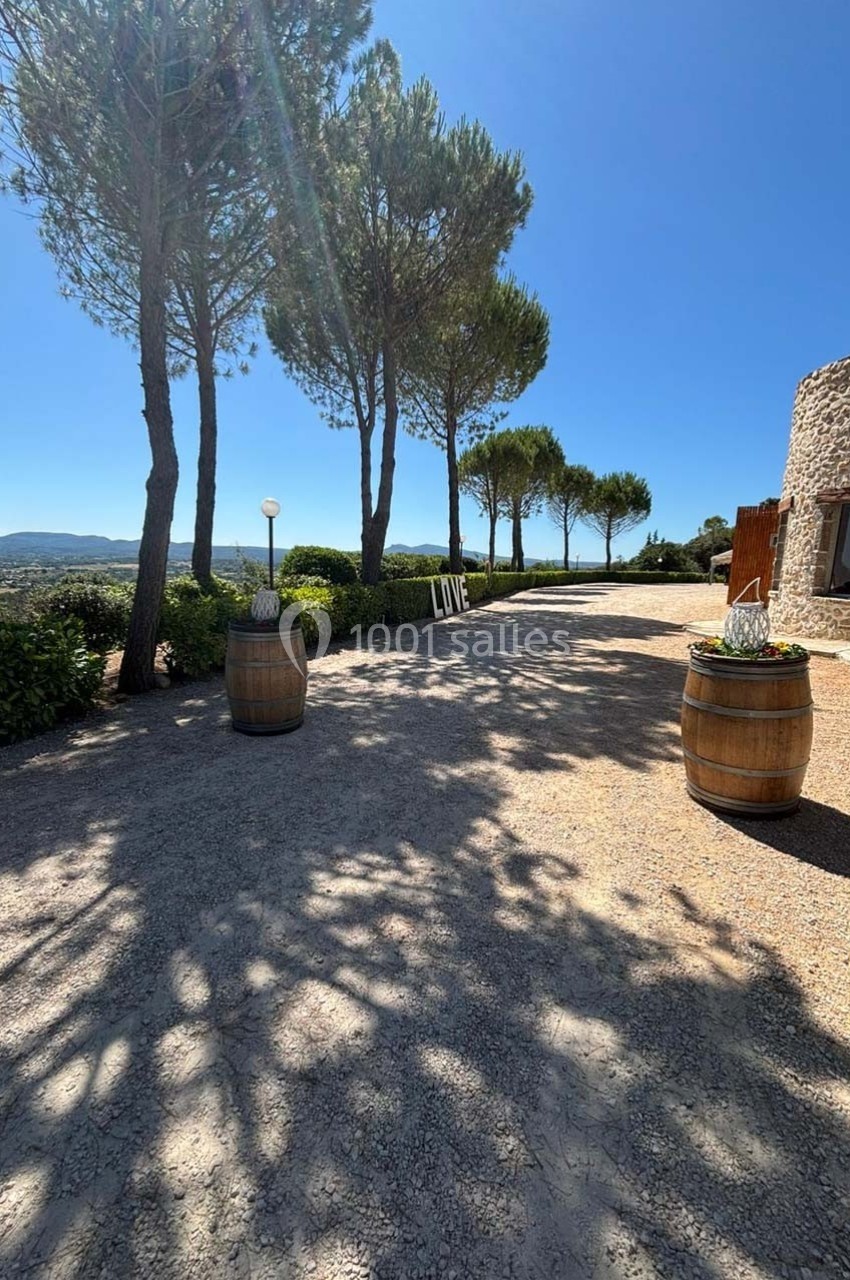 Allée en gravier bordée de barriques et de pins, menant à un bâtiment en pierre sous un ciel dégagé.