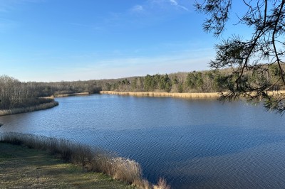 Cuisine professionnelle équipée d'un four à double étage, de deux friteuses et de plans de travail en inox.