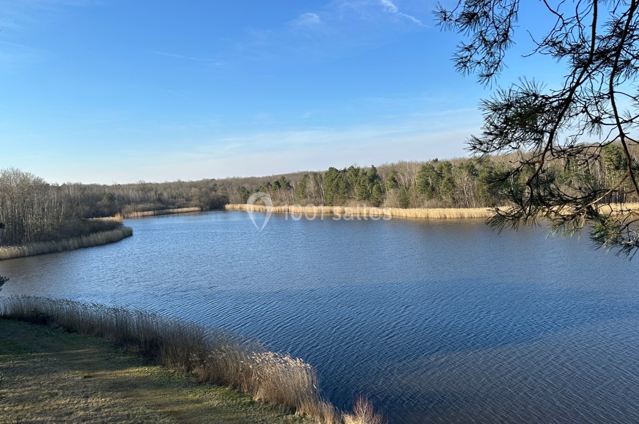 Vue d'un lac entouré de roseaux et de forêts sous un ciel bleu dégagé.