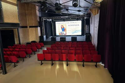 Salle de spectacle avec scène éclairée, artistes en représentation et public assis dans des fauteuils rouges.