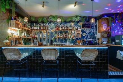 Bouteilles de vin variées alignées sur un comptoir en bois, avec un fond de bar décoré et éclairé.