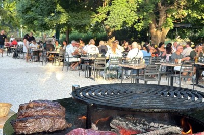 Terrasse animée d'un restaurant en soirée, avec des guirlandes lumineuses et des convives attablés sous un arbre.