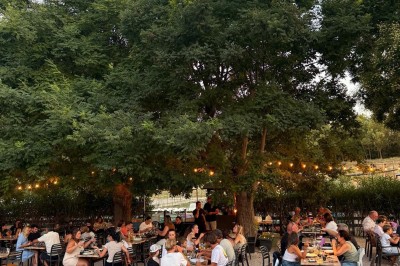 Terrasse animée d'un restaurant en soirée, avec des guirlandes lumineuses et des convives attablés sous un arbre.