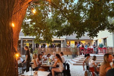 Terrasse animée d'un restaurant en soirée, avec des guirlandes lumineuses et des convives attablés sous un arbre.