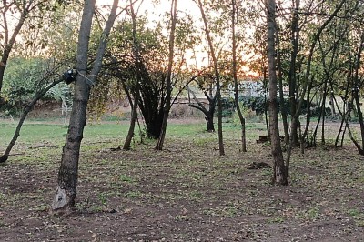 Façade d'un bâtiment en pierre avec une grande baie vitrée, entouré d'une terrasse et de végétation.