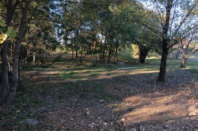 Façade d'un bâtiment en pierre avec une grande baie vitrée, entouré d'une terrasse et de végétation.