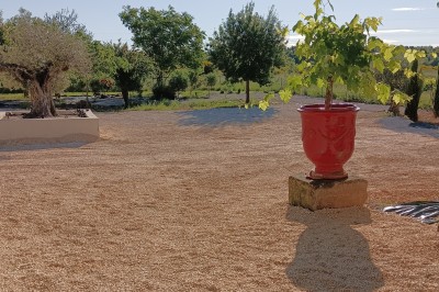 Pot rouge en céramique posé sur un socle en pierre, entouré d'arbres et de gravier dans une cour clôturée.