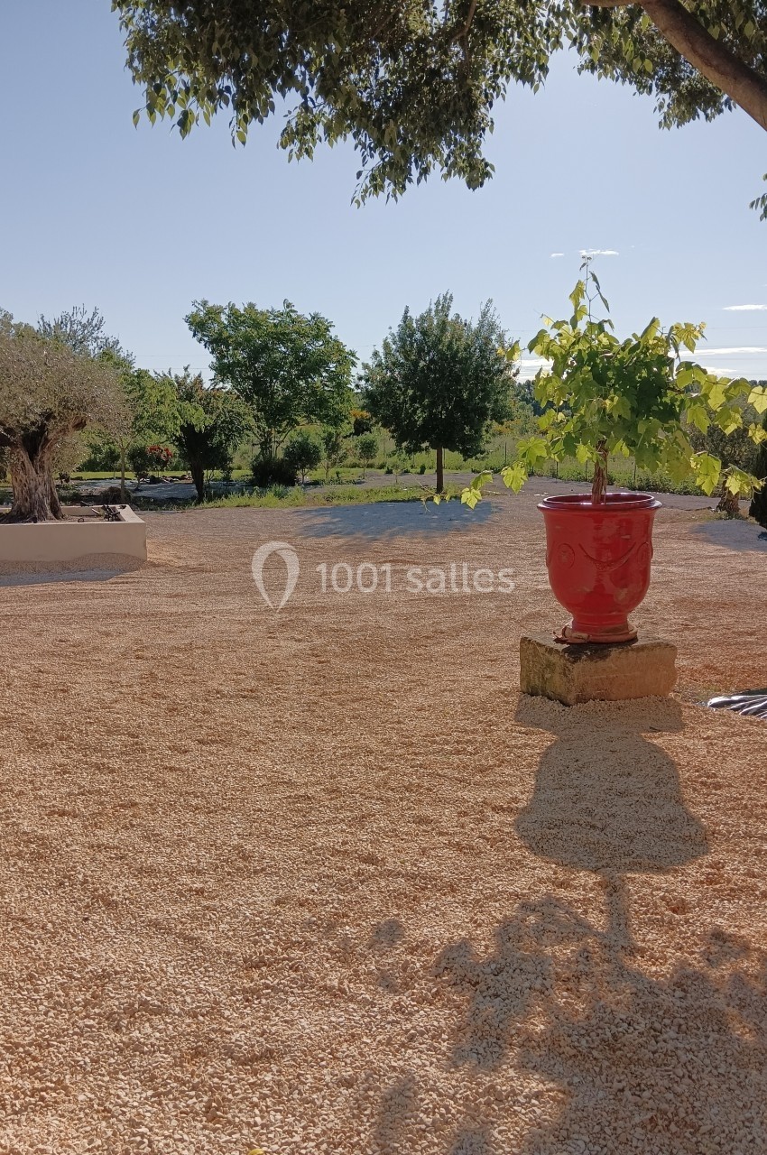 Cour ensoleillée avec sol gravillonné, pot rouge contenant une plante verte, arbres et végétation en arrière-plan.