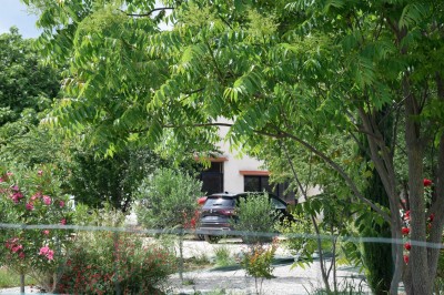 Pot rouge en céramique posé sur un socle en pierre, entouré d'arbres et de gravier dans une cour clôturée.