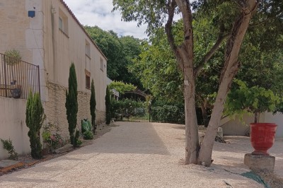 Pot rouge en céramique posé sur un socle en pierre, entouré d'arbres et de gravier dans une cour clôturée.