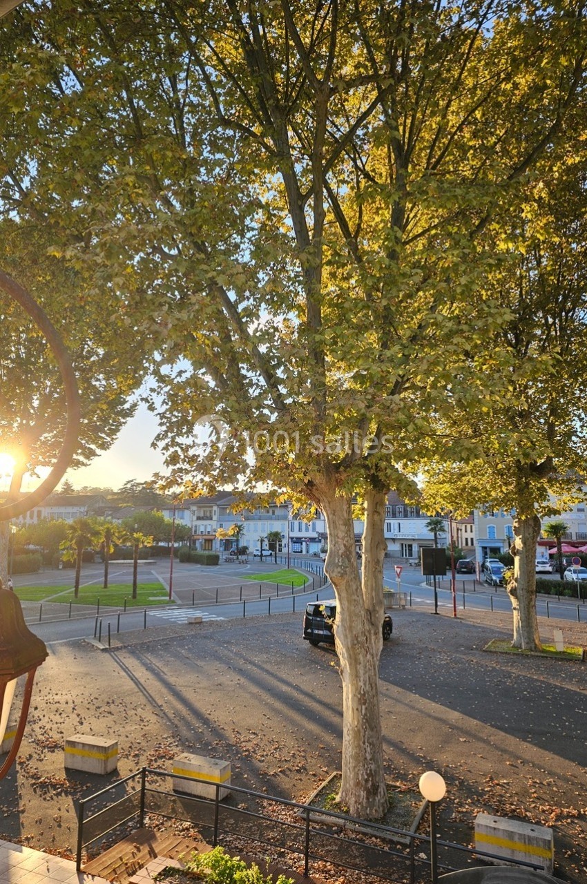 Vue d'une place bordée d'arbres au coucher du soleil, avec une voiture garée et des bâtiments en arrière-plan.