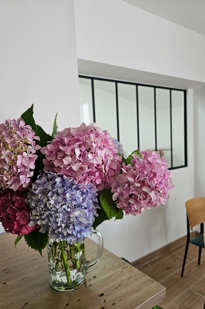 Bouquet d'hortensias roses et violets dans un vase en verre, posé sur une table en bois dans une pièce lumineuse.