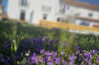 Location salle Salies-du-Salat (Haute-Garonne) - La Villa Milady #25