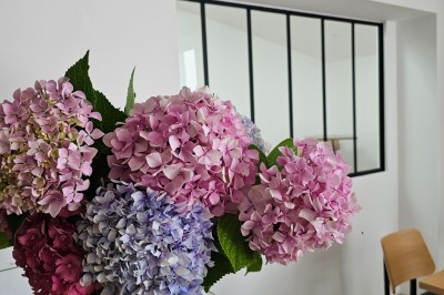 Location salle Salies-du-Salat (Haute-Garonne) - La Villa Milady #25