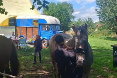 Miniature Location salle Mesnil-Follemprise (Seine-Maritime) - Le Haut Mesnil #5 Tente beige à plusieurs pointes montée sur une pelouse, avec une autre tente jaune en arrière-plan.