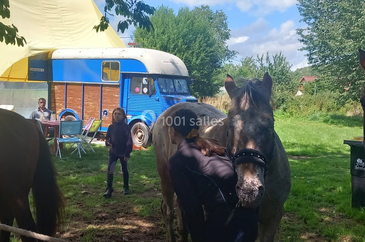 Une personne brosse un cheval dans un pré, avec un van bleu et des tables de pique-nique en arrière-plan.
