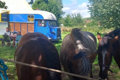 Miniature Location salle Mesnil-Follemprise (Seine-Maritime) - Le Haut Mesnil #7 Tente beige à plusieurs pointes montée sur une pelouse, avec une autre tente jaune en arrière-plan.