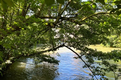 Miniature Location salle Troyes (Aube) - La Sourcery #18 Location salle Troyes (Aube) - La Sourcery #26