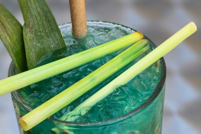 Miniature Location salle Paris 9 (Paris) - Les Blancs Becs #32 Plateau d'huîtres fraîches disposées autour de sauces, accompagné de quartiers de citron et de persil.
