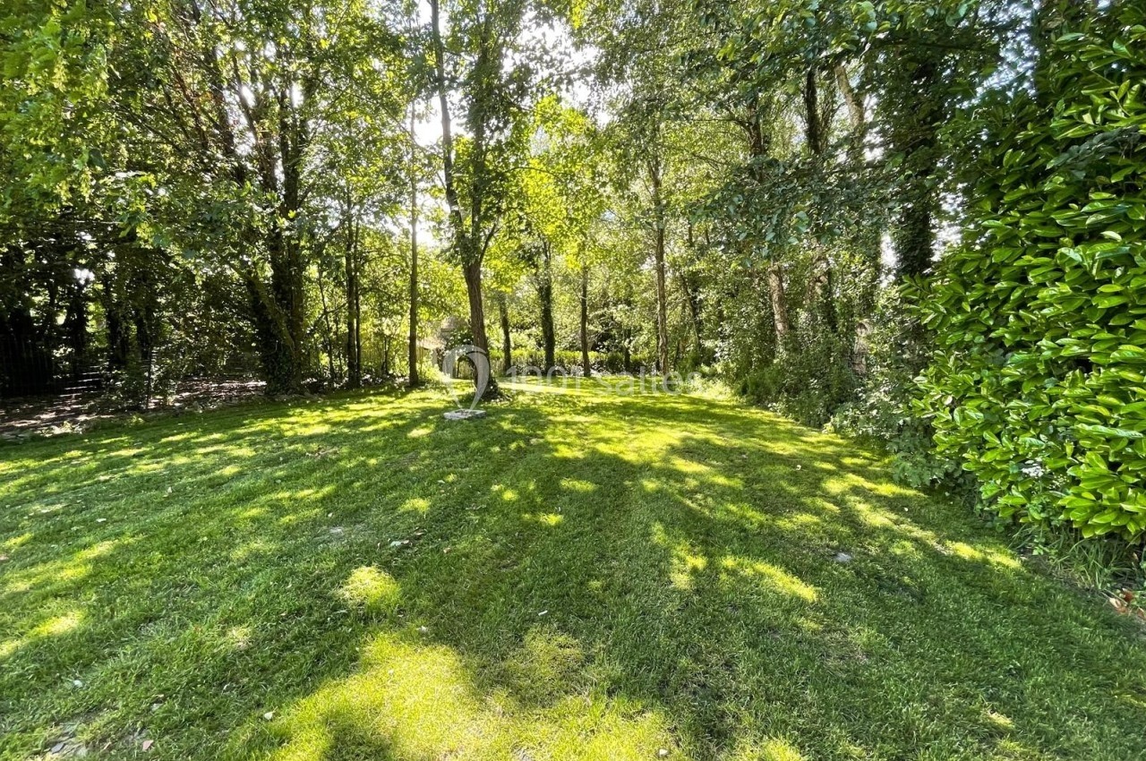 Pelouse ensoleillée entourée d'arbres et de feuillages, créant une ambiance paisible en pleine nature.