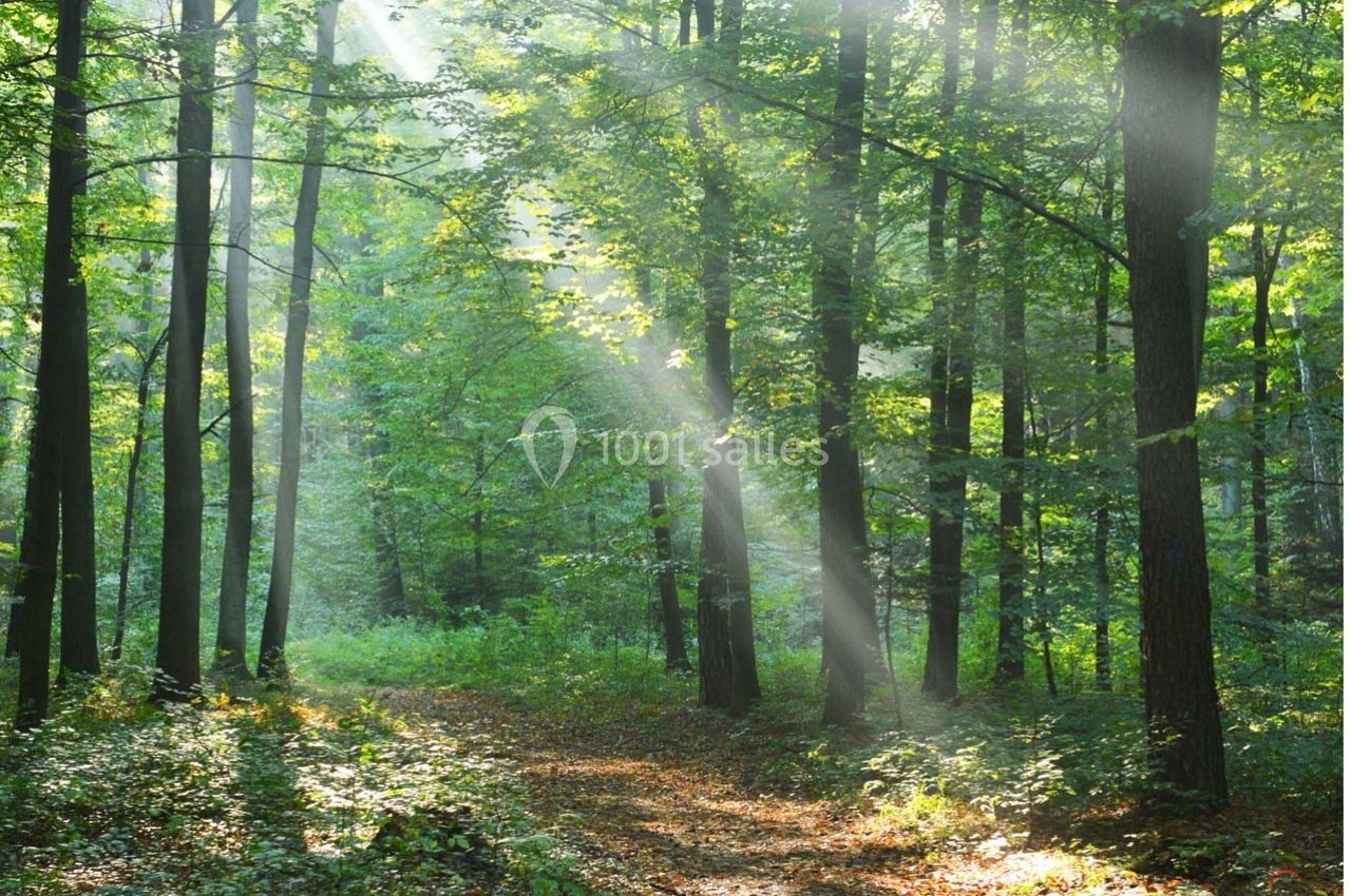 Location salle Vacquiers (Haute-Garonne) - Domaine Verdé #8