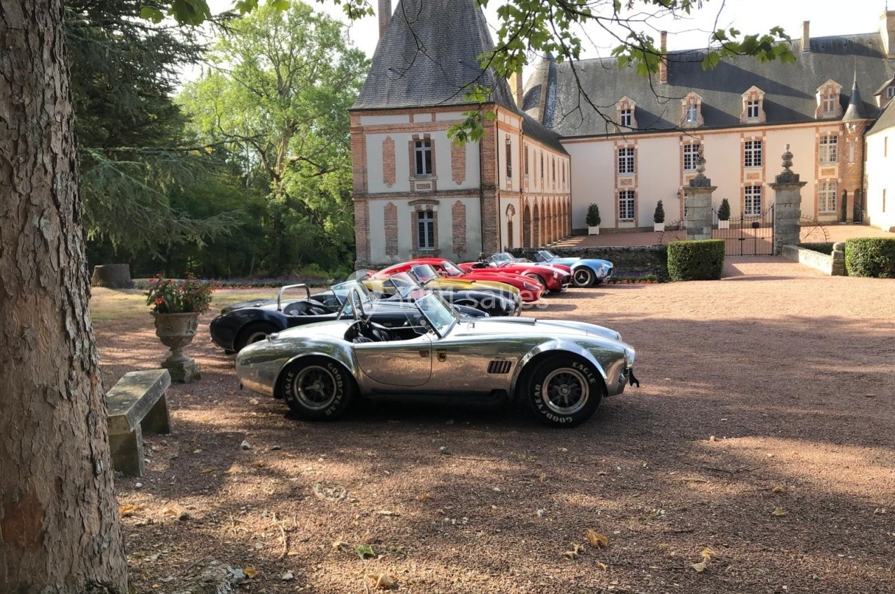 Plusieurs voitures de collection stationnées devant un château entouré de végétation, par une journée ensoleillée.