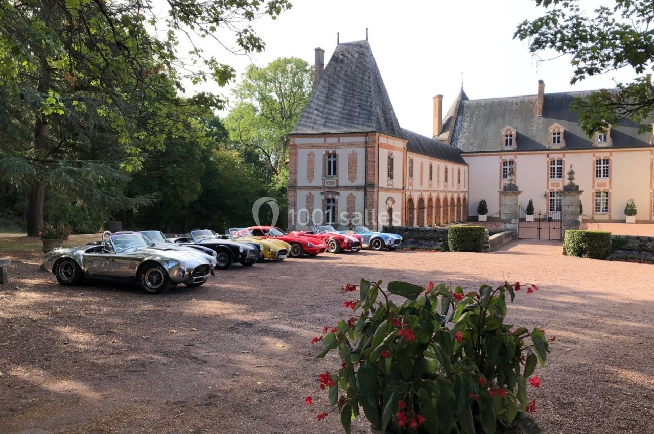Plusieurs voitures de sport anciennes garées devant un château entouré de végétation.