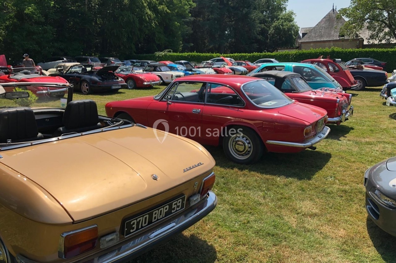 Rassemblement de voitures anciennes exposées sur une pelouse par une journée ensoleillée, entourées de verdure.