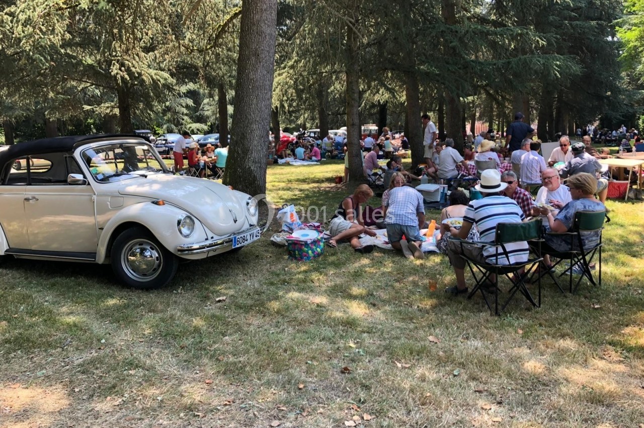 Des personnes pique-niquent dans un parc ombragé près d'une voiture ancienne beige, entourées d'arbres.