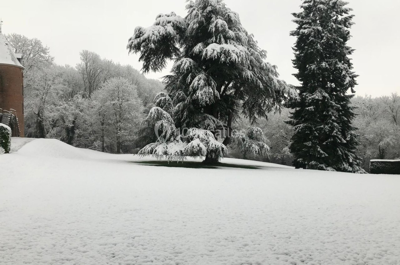 Paysage enneigé avec arbres recouverts de neige et pelouse blanche, sous un ciel gris en hiver.